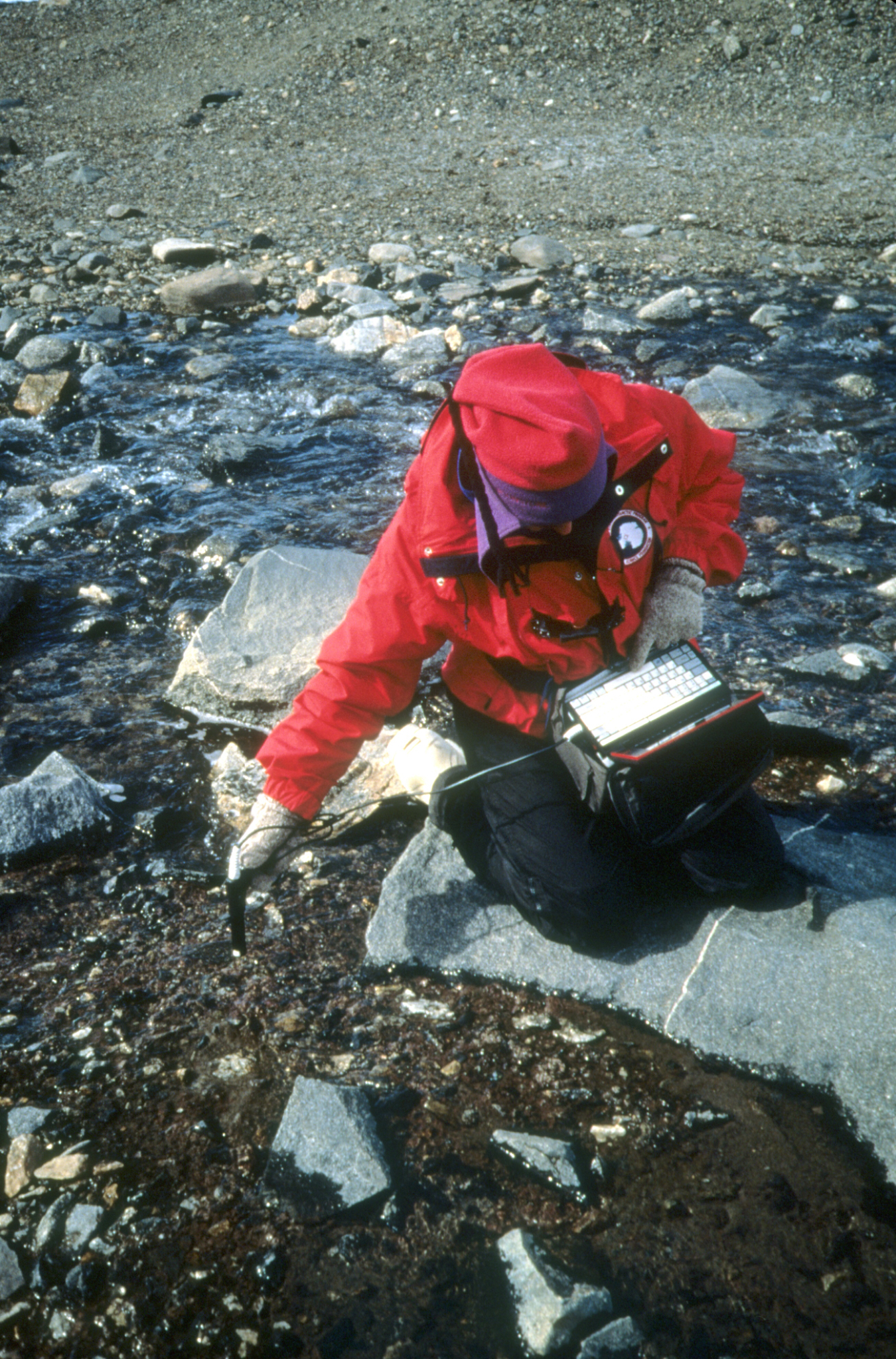 Measuring stream temperature